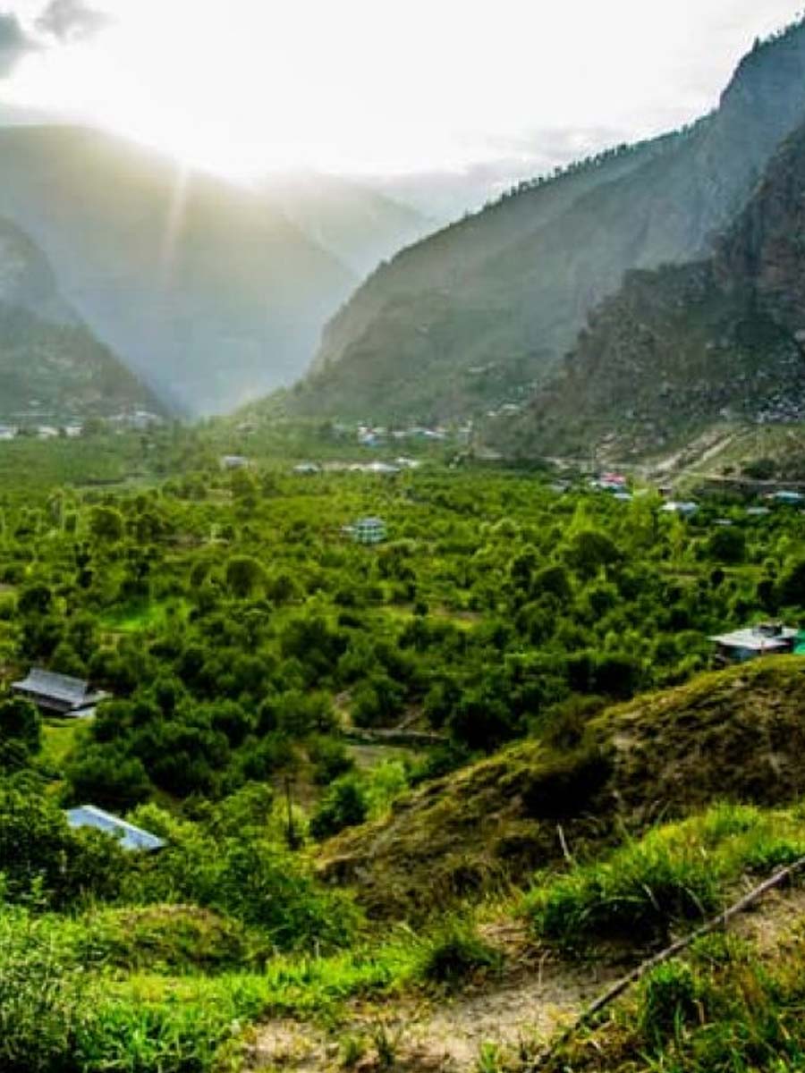 Lambasingi Resorts